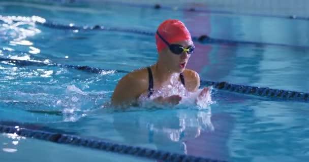 Zijaanzicht Van Jonge Vrouwelijke Zwemmers Trainen Een Zwembad Schoolslag — Stockvideo