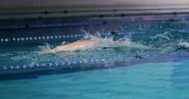 Zijaanzicht Van Een Jonge Kaukasische Mannelijke Zwemmer Training Een Zwembad — Stockvideo