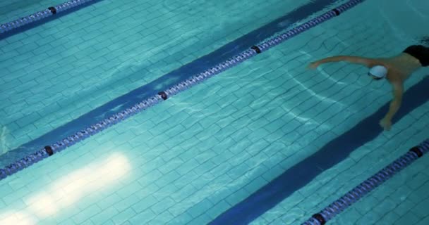 スイミングプール 蝶で若い白人男性水泳選手のトレーニングの側面図 — ストック動画