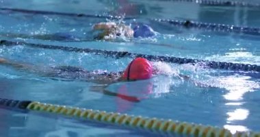 Yüzme havuzunda eğitim gören genç kadın yüzücülerin yan görünümü, sürün