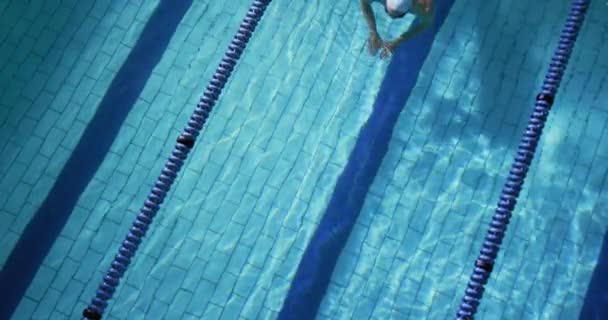 年轻的白种男性游泳选手在游泳池里训练的头顶视图 — 图库视频影像