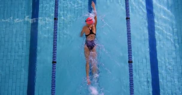 Vue Aérienne Une Jeune Nageuse Entraînant Dans Une Piscine Rampant — Video