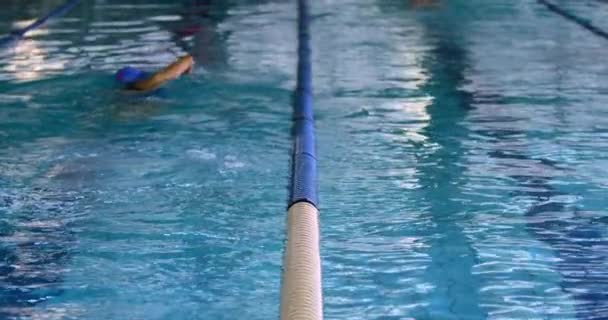 一个年轻的女游泳运动员在游泳池里训练 爬行的后视图 — 图库视频影像