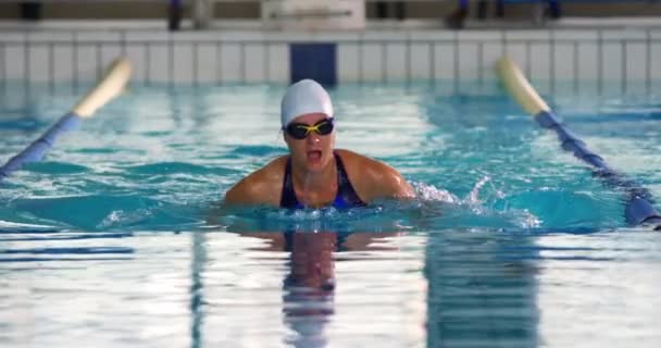 スイミングプールでの若い白人女性水泳選手のトレーニングの正面図 平泳ぎ — ストック動画