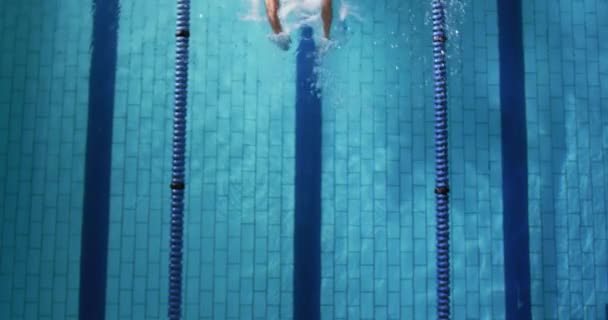 年轻的白种男性游泳选手在游泳池里训练的头顶视图 — 图库视频影像