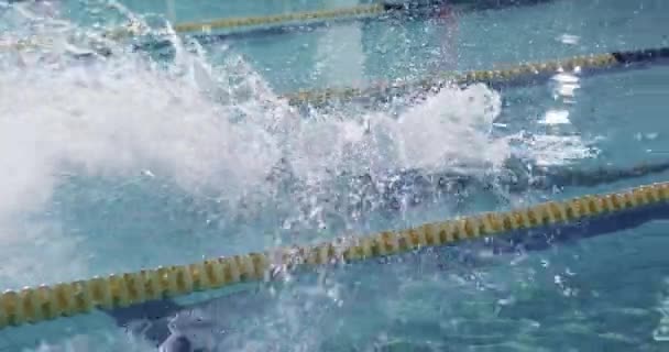 Vista Lateral Jovem Nadador Caucasiano Treinando Uma Piscina Pulando Água — Vídeo de Stock