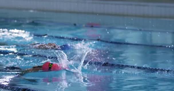 年轻女游泳运动员在游泳池里训练侧视图 — 图库视频影像