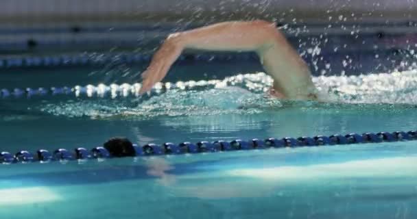 一个年轻的白种男性游泳者在游泳池里训练 爬行的侧视图 — 图库视频影像