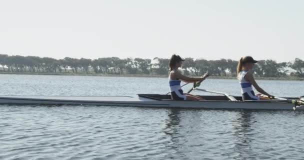 トレーニング中に川のレースシェルで漕いで4人の若い大人の白人女性のチームの側面図 — ストック動画