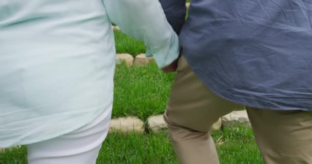 白人の先輩男女が手をつないで庭を歩くリアビュー中間部 — ストック動画