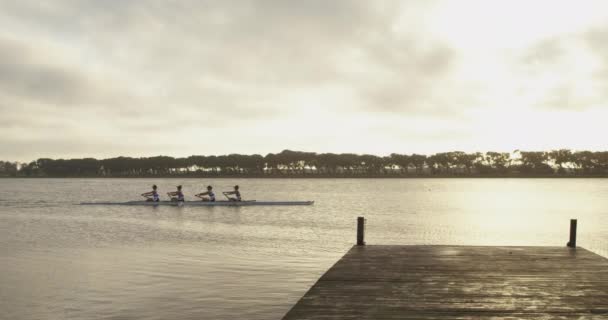 Side View Team Four Young Adult Caucasian Women Rowing Jetty — Stock Video