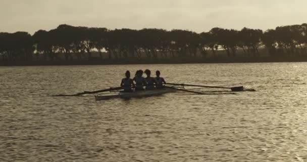 Vista Posteriore Una Squadra Quattro Giovani Donne Caucasiche Che Remano — Video Stock