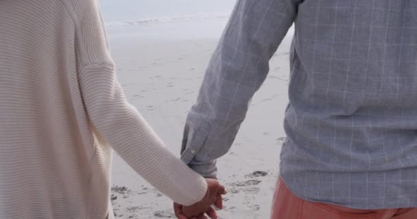 后视特写一对成熟的混合种族夫妇手牵手 走在海边的海滩上 — 图库视频影像