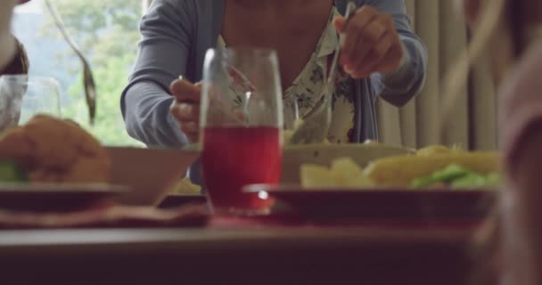 Vista Frontal Cerca Una Joven Mujer Caucásica Sirviendo Una Cena — Vídeos de Stock