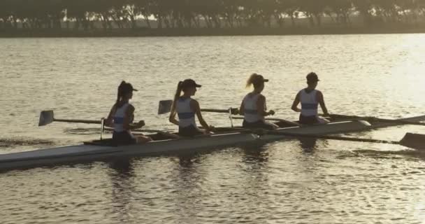 川でレースシェルトレーニングで漕ぎ回る4人の若い成人白人女性のチームの側面図 — ストック動画