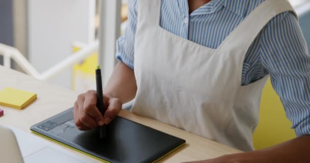 Portret Van Een Gelukkige Jonge Gemengde Race Vrouwelijke Zakelijke Creatief — Stockvideo