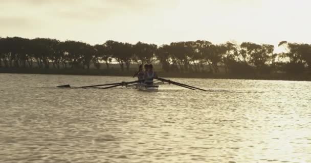 川の上のレースシェルで漕いで4人の若い大人の白人女性のチームの正面図 — ストック動画