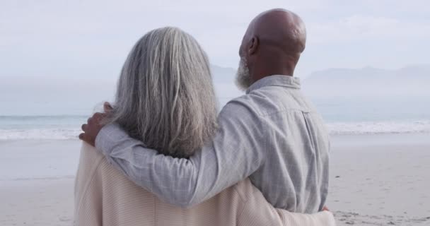 Rückansicht Nahaufnahme Eines Reifen Gemischten Rassenpaares Das Sich Strand Meer — Stockvideo