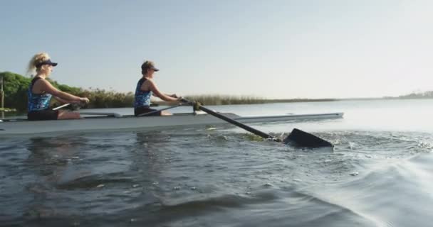トレーニング中に川のレースシェルで漕いで2人の若い大人の白人女性の側面図 — ストック動画