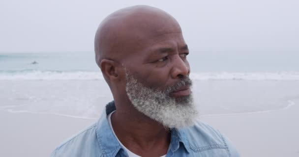 Portrait Close Mature Mixed Race Man Turning Camera Smiling Beach — Stock Video