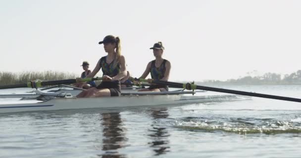 训练期间 一支由四名年轻的成年白种女性组成的队伍在河上划着两枚赛车炮弹 — 图库视频影像