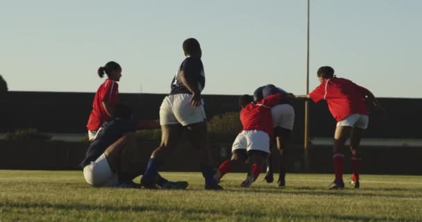 Bakifrån Grupp Unga Vuxna Multietniska Kvinnliga Rugbyspelare Som Springer Planen — Stockvideo