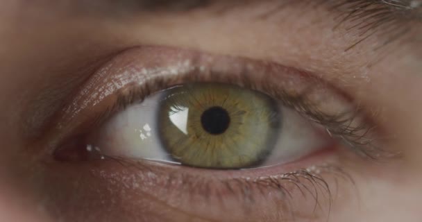Крупный План Зеленого Глаза Женщины Глядящей Прямо Камеру Моргающей Складчатой — стоковое видео