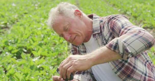 Porträtt Mogen Kaukasiska Manliga Jordbrukare Ekologisk Jordbruksmark Leende Till Kameran — Stockvideo