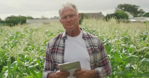 Retrato Agricultor Masculino Branco Maduro Campo Agrícola Orgânico Segurando Computador — Vídeo de Stock