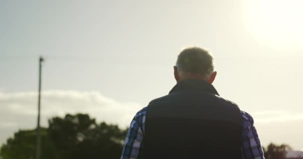 在有机农业田里 一个成熟的白人男性农民后视图 用双手在臀部欣赏风景 — 图库视频影像