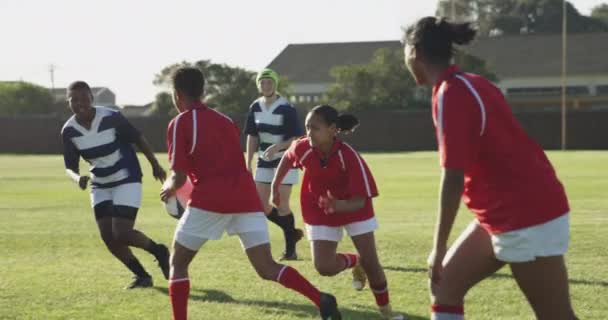 在橄榄球赛中 一群年轻的成年多种族女子橄榄球队队员在球场上奔跑 一名队员传球的侧视图 — 图库视频影像