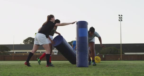 Framifrån Grupp Unga Vuxna Multietniska Kvinnliga Rugbyspelare Öva Tacklingar Med — Stockvideo