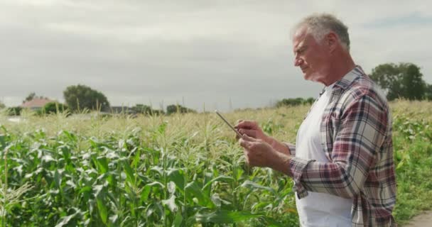 Seitenansicht Eines Gestandenen Kaukasischen Bauern Auf Einem Biologisch Bewirtschafteten Feld — Stockvideo