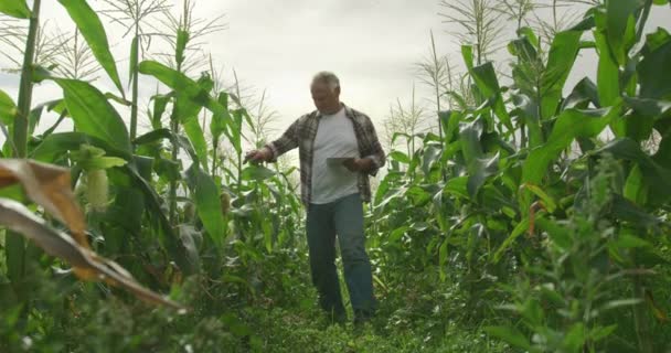 Vooraanzicht Van Een Volwassen Kaukasische Mannelijke Boer Een Biologisch Agrarisch — Stockvideo