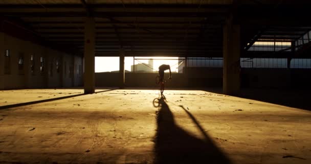 Bmx Bisikleti Süren Güneş Işığıyla Aydınlatılan Terk Edilmiş Bir Depoda — Stok video