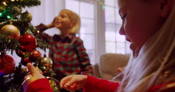 Vista Lateral Una Joven Molestia Caucásica Hermana Decorando Árbol Navidad — Vídeos de Stock