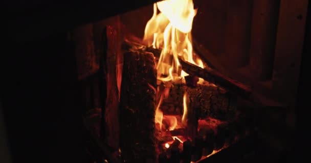 Bir Evin Oturma Odasındaki Şöminede Yanan Odunları Kapatın Sıcak Işık — Stok video
