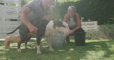 Güneşli bir günde bahçedeki teneke bir banyoda diz çöküp evcil köpeğini yıkayan beyaz bir çifti yakından görüyoruz. Köpek suyu sallıyor.