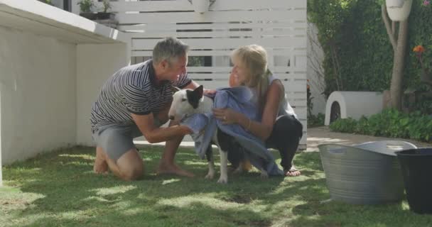 Güneşli Bir Günde Evcil Köpeğini Havluyla Kurutan Beyaz Bir Çiftin — Stok video
