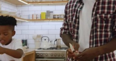 Binlerce yıllık gülümseyen Afrikalı bir Amerikalı baba ve küçük oğlunun evdeki mutfakta yemek hazırlarken, konuşurken, baba sebze doğrarken ve oğlu pizza tabanına tepsi ve otlar koyarken,