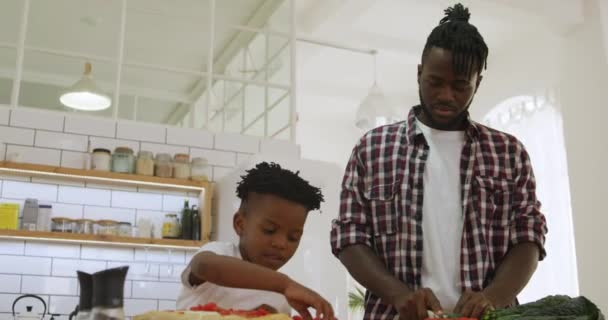 100万人のアフリカ系アメリカ人の父親と彼の幼い息子がキッチンで一緒に食事を準備しているのを見ると 父親は野菜と彼の息子をピザのベースに入れて スローモーション — ストック動画
