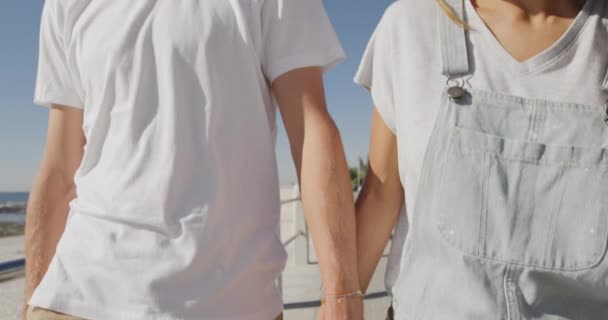 一对快乐的白种人年轻夫妇在海边悠闲自在 手牵手在阳光灿烂的海滩上散步 欣赏风景 慢动作 — 图库视频影像