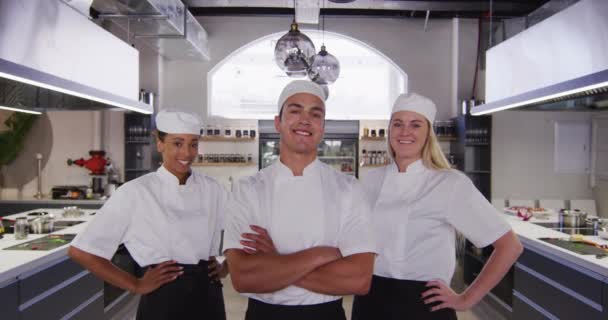 Retrato Grupo Chefs Multiétnicos Profissionais Vestindo Chefs Brancos Uma Cozinha — Vídeo de Stock