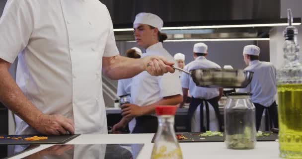 Partie Médiane Chef Caucasien Professionnel Portant Des Chefs Blancs Dans — Video