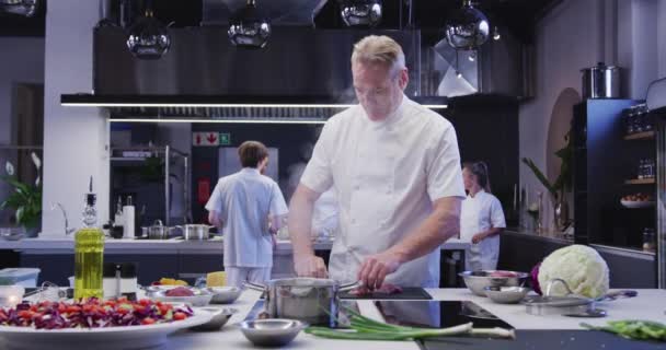 Portret Van Een Blanke Mannelijke Chef Kok Die Een Drukke — Stockvideo