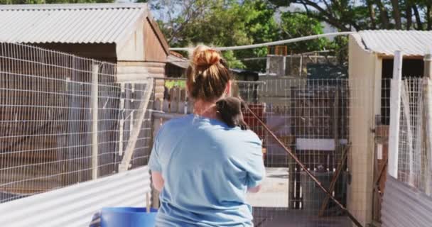 Vit Kvinnlig Volontär Klädd Blå Uniform Ett Djurhem Gående Och — Stockvideo