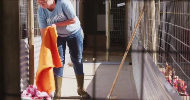 青い制服を着た白人女性のボランティアが動物保護施設で働いていて 晴れた日には犬と一緒に檻の中で死んでいます — ストック動画