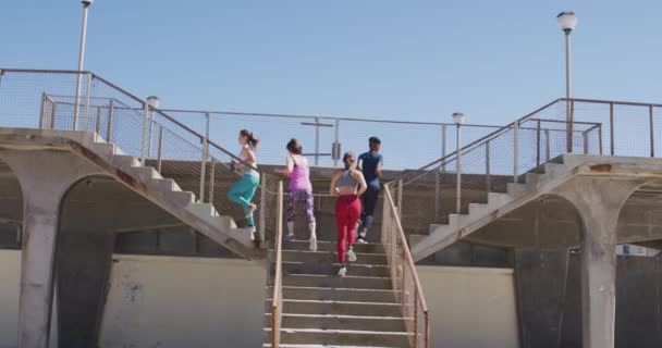 晴れた日にビーチで運動を楽しむ女性の友人の多民族グループは 階段を駆け上がる — ストック動画