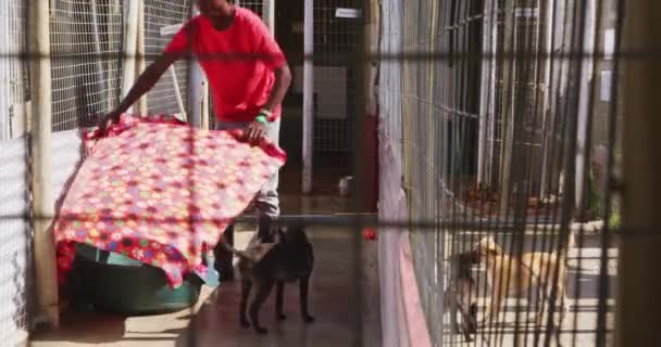 Voluntario Masculino Afroamericano Con Una Camiseta Roja Refugio Animales Preparando — Vídeo de stock