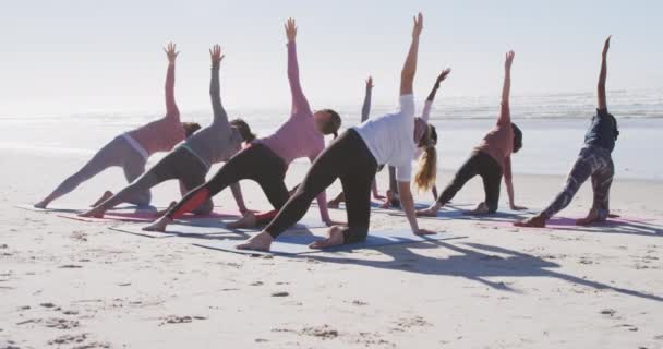 Multi Etnische Groep Van Vrouwelijke Vrienden Genieten Van Het Sporten — Stockvideo